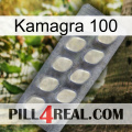Kamagra 100 08